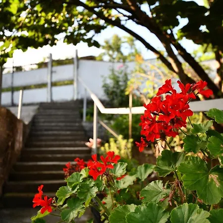 Nika House Villa Tskaltubo Exterior photo